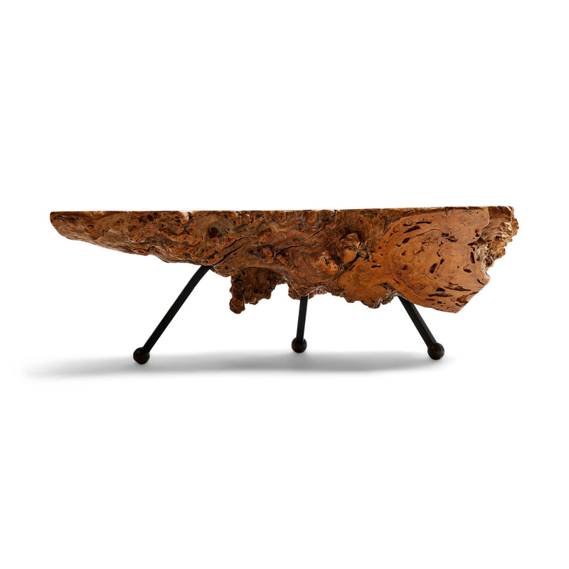 Sabino Burl Low Table from Mexico