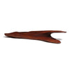 Organic Carved Pine Sculpture from USA