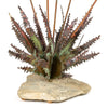 Copper ‘Desert Flower’ Table Top Sculpture by John Steck