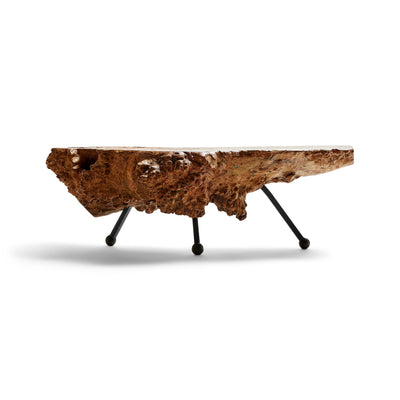 Sabino Burl Low Table from Mexico