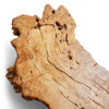 Sabino Burl Low Table from Mexico