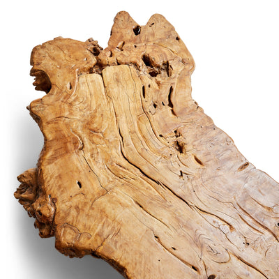 Sabino Burl Low Table from Mexico