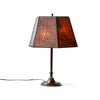 Arts and Crafts Bronze and Mica Table Lamp from USA