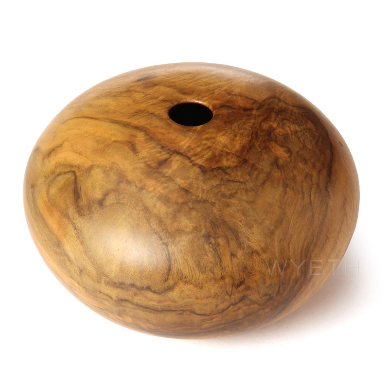 Lathe Turned Hollowform Sculpture by David Ellsworth