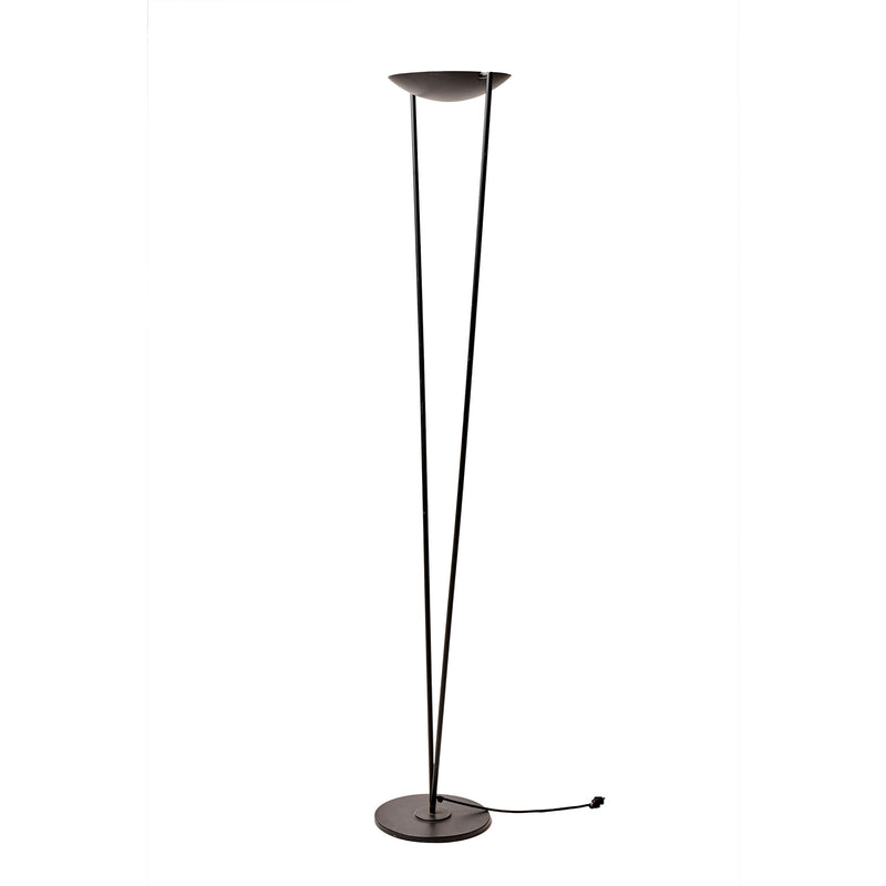 Minimalist Floor Lamp