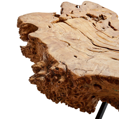 Sabino Burl Low Table from Mexico