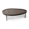 Biomorphic Steel Low Table by WYETH, 2021