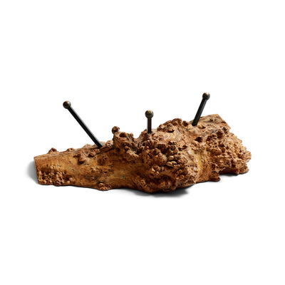 Sabino Burl Low Table from Mexico