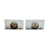 Wall Lamps from USA