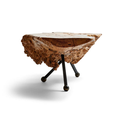 Sabino Burl Low Table from Mexico