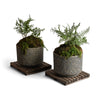 Stone Planters