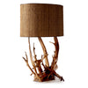 Epic Driftwood Lamp from USA, 50s