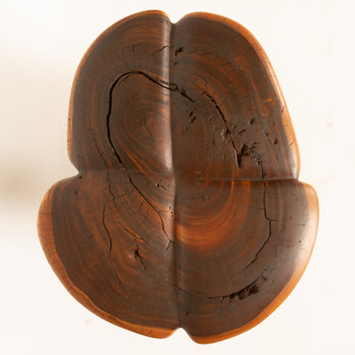 Lignum-Vitae Modernist Table Sculpture by Clark Fitz-Gerald