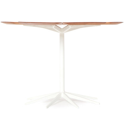 'Petal' Dining Table by Richard Schultz for Knoll, 1960