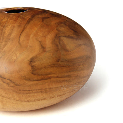 Lathe Turned Hollowform Sculpture by David Ellsworth