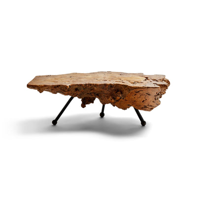 Sabino Burl Low Table from Mexico