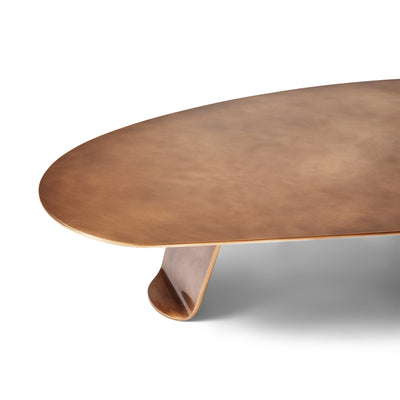 Chrysalis No. 1 Low Table in Natural Patinated Bronze by WYETH