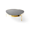 New Biomorphic Bronze Bar Low Table by WYETH, 2024