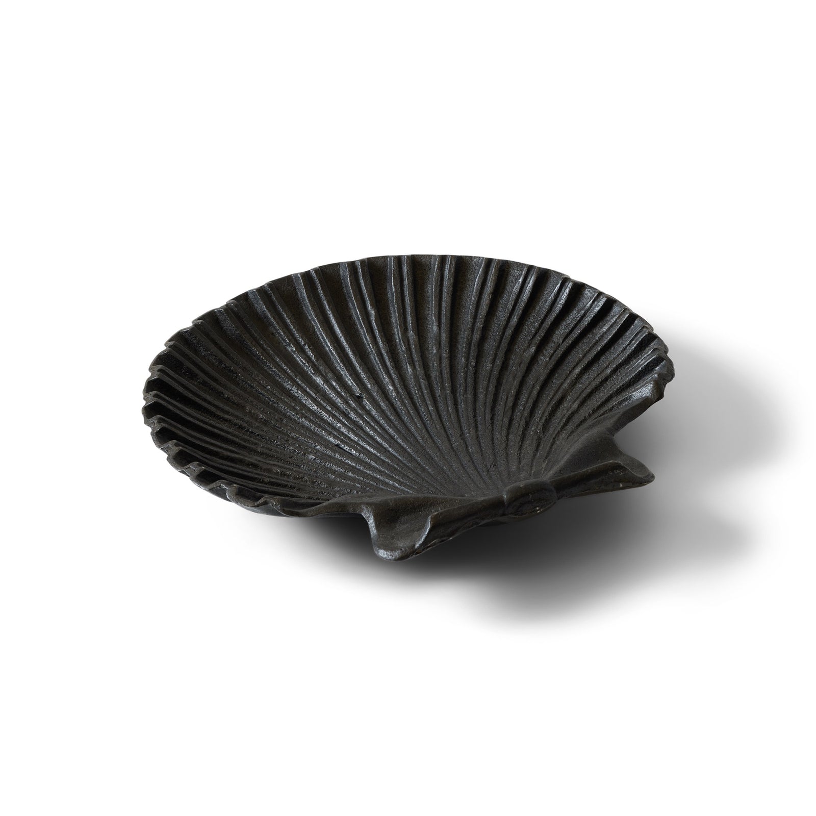 Cast Iron Shell
