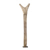 Fertility Post from Mali