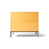 Professor's Flat File by Poul Kjaerholm for Rud Rasmussen