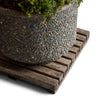 Stone Planters