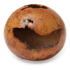 Red Oak Burl Hollow by David Ellsworth, 1980