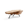 Sabino Burl Low Table from Mexico