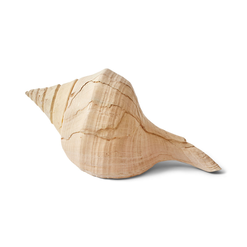 Large Conch Shell by Nature