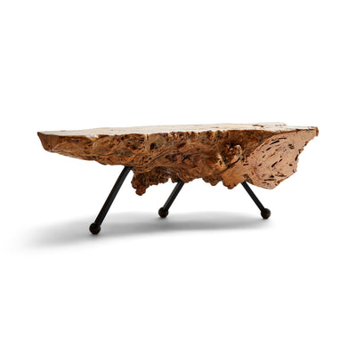 Sabino Burl Low Table from Mexico