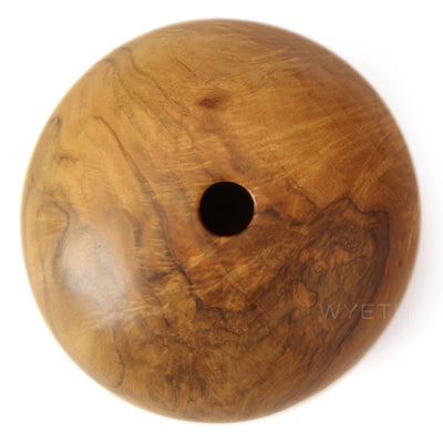 Lathe Turned Hollowform Sculpture by David Ellsworth