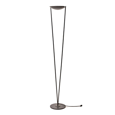 Minimalist Floor Lamp