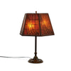 Arts and Crafts Bronze and Mica Table Lamp from USA