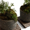 Stone Planters