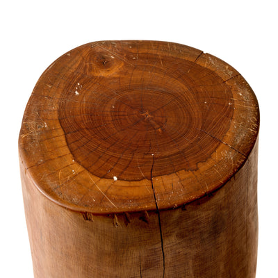 Smooth Tree Trunk Table