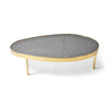 New Biomorphic Bronze Bar Low Table by WYETH, 2024