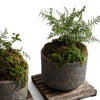 Stone Planters