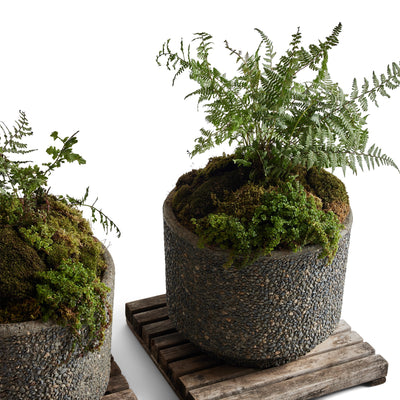 Stone Planters