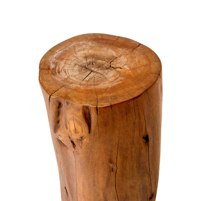 Smooth Tree Trunk Table