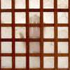 Gridded Panel from USA