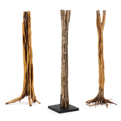 Sculptural Standing Trees from USA