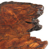 Organic Burl Redwood Low Table from USA