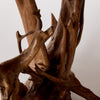 Epic Driftwood Lamp from USA, 50s