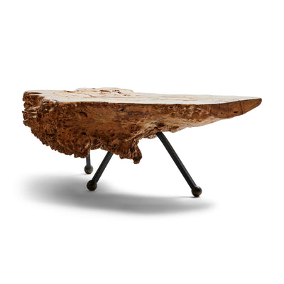 Sabino Burl Low Table from Mexico